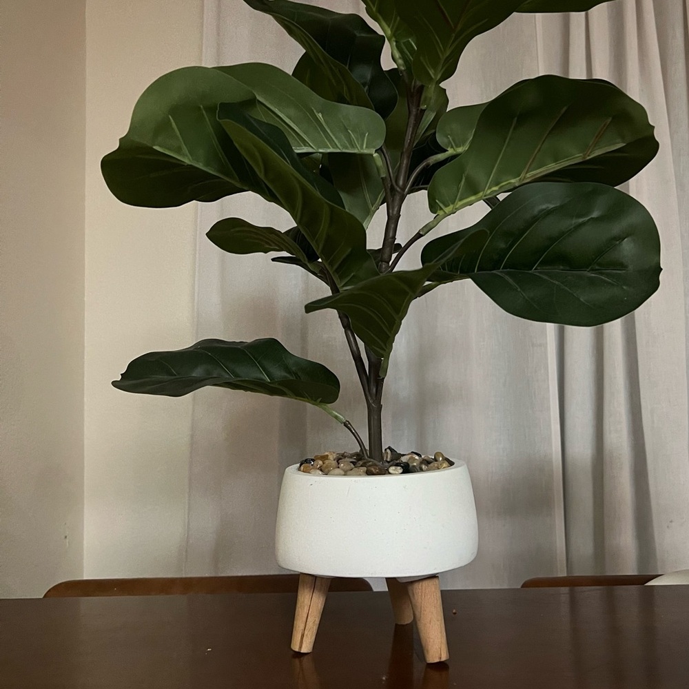 Faux Fiddle Leaf Fig 22 inches